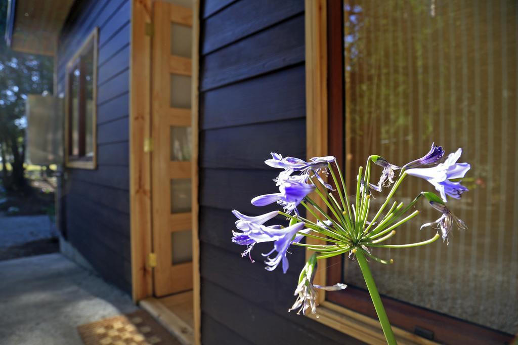 Cabanas Bosques De Loncotraro Villarrica Exterior photo