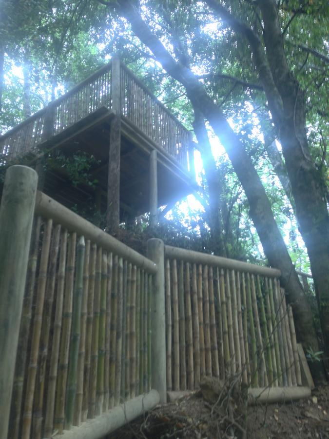Cabanas Bosques De Loncotraro Villarrica Exterior photo
