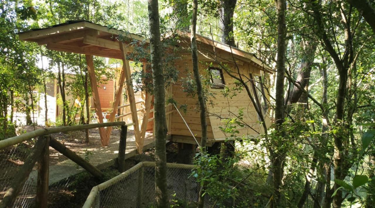 Cabanas Bosques De Loncotraro Villarrica Exterior photo