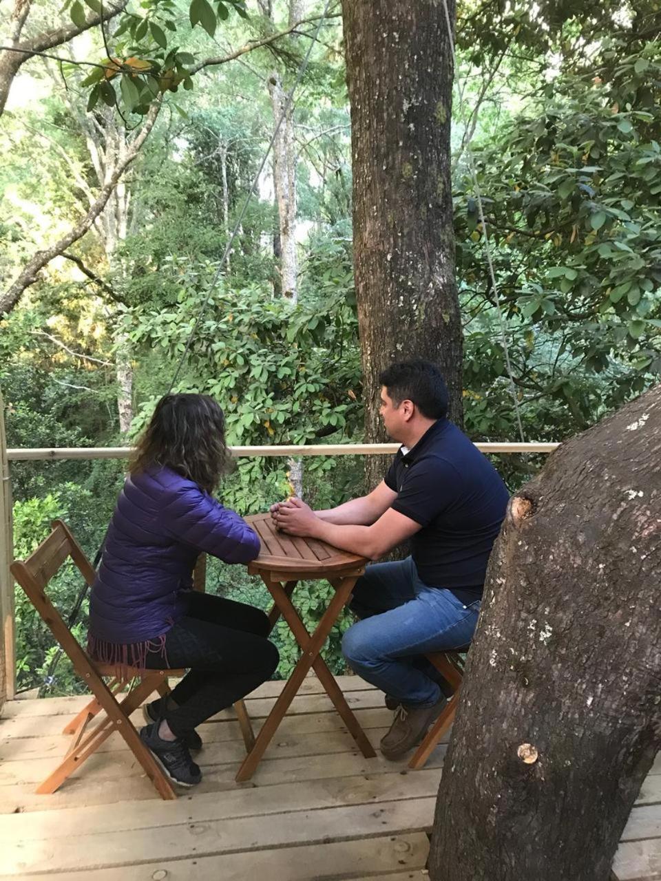 Cabanas Bosques De Loncotraro Villarrica Exterior photo