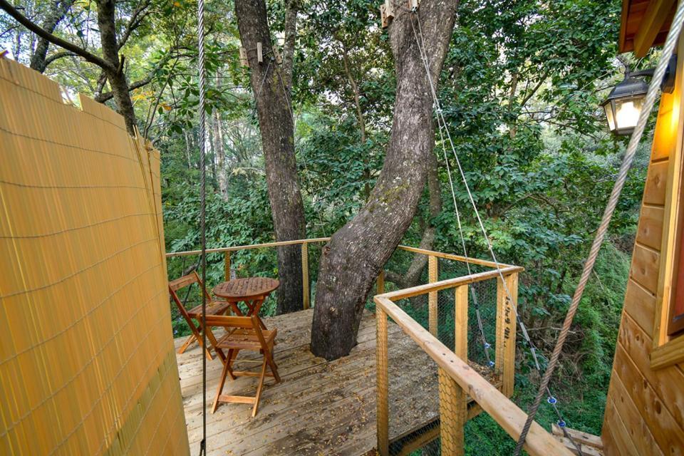 Cabanas Bosques De Loncotraro Villarrica Exterior photo