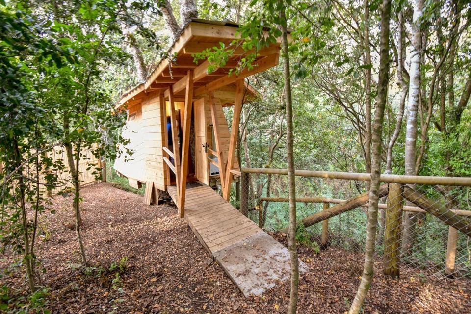 Cabanas Bosques De Loncotraro Villarrica Exterior photo