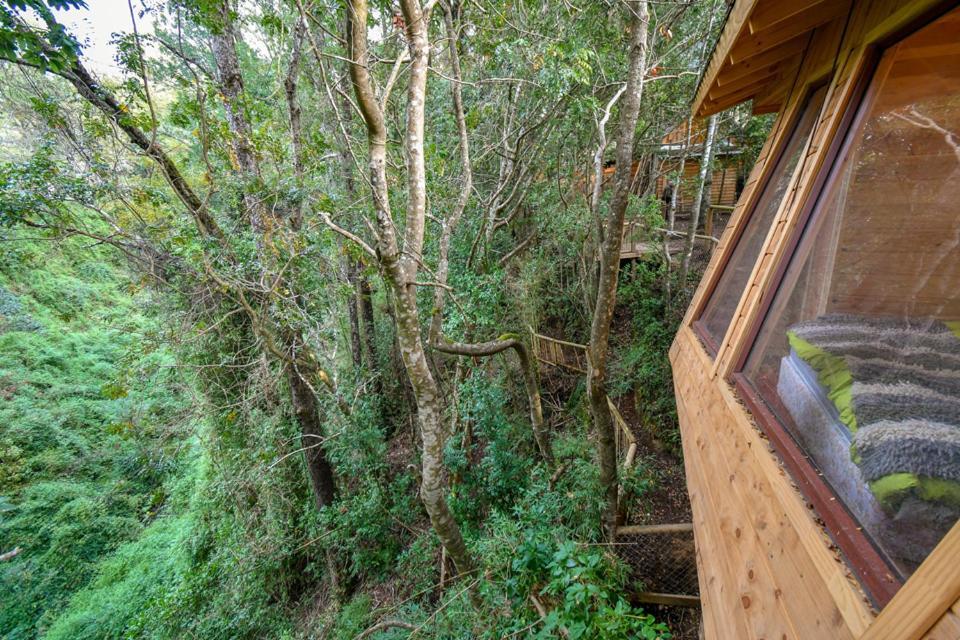 Cabanas Bosques De Loncotraro Villarrica Exterior photo