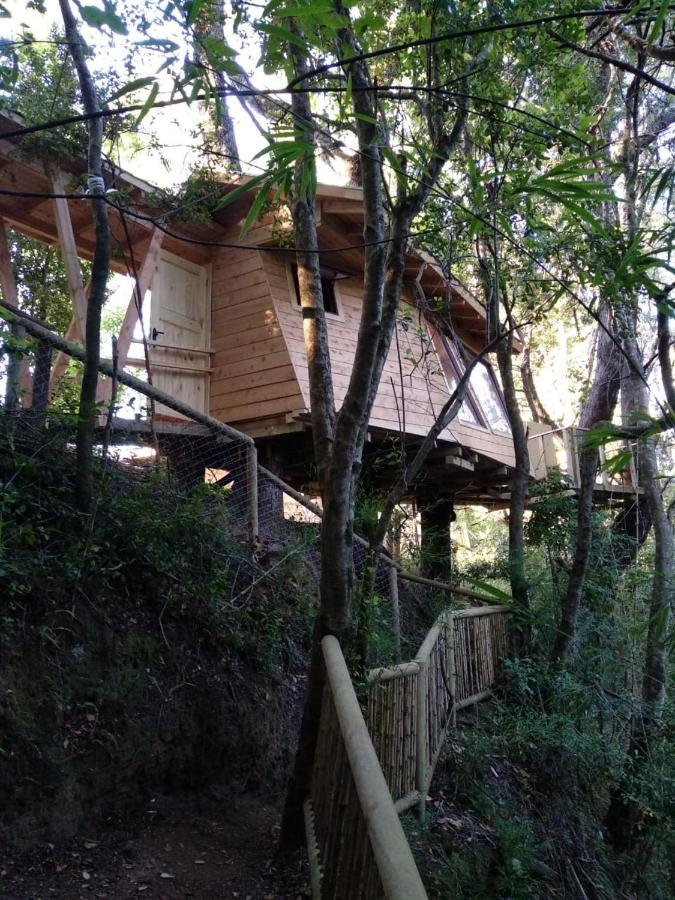Cabanas Bosques De Loncotraro Villarrica Exterior photo